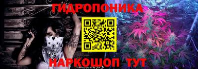 индика Рязань