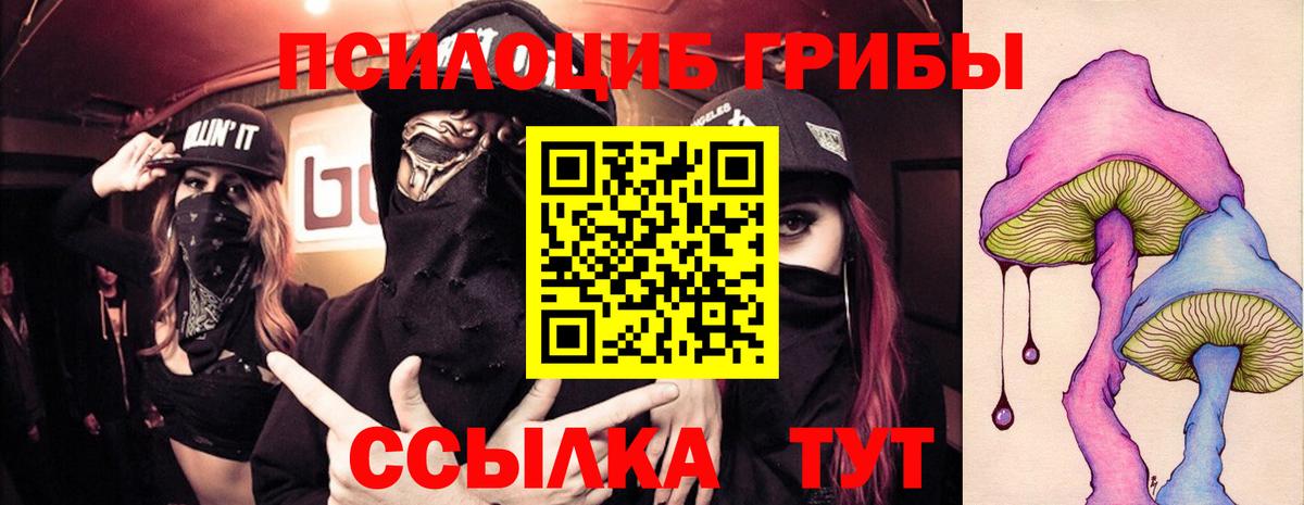 Псилоцибиновые грибы GOLDEN TEACHER Октябрьский