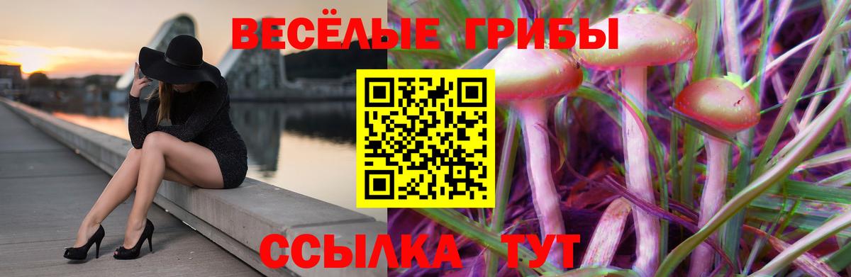 Псилоцибиновые грибы Cubensis  Галлюциногенные грибы Psilocybe  Вход с VPN  Октябрьский 